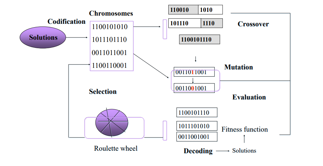 metah-genetic-algorithm-structure